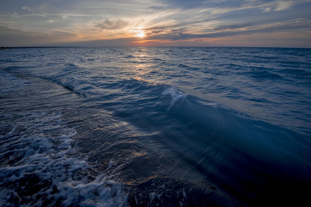 Летом вода в Балхаше теплая, как в тропических морях.