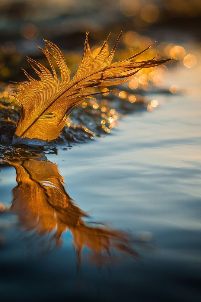 Bright moments