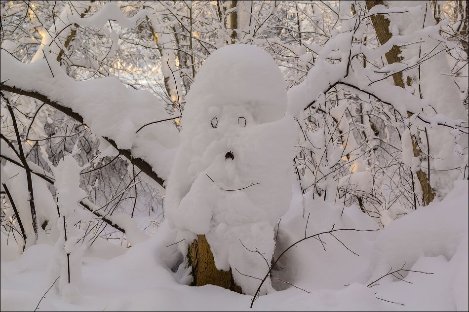 В гостях у Старичка - Лесовичка))