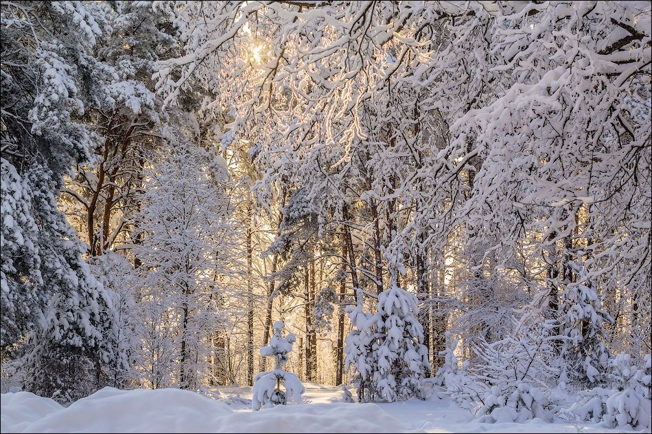 В гостях у Старичка - Лесовичка))