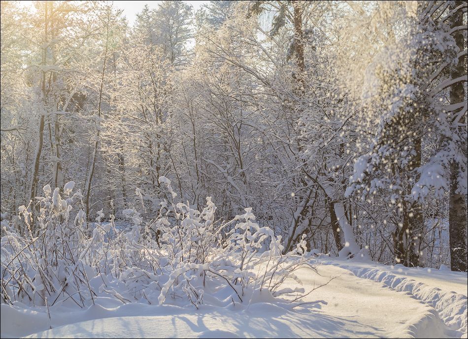 В гостях у Старичка - Лесовичка))