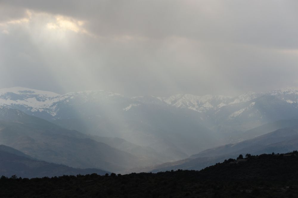Photo 847185