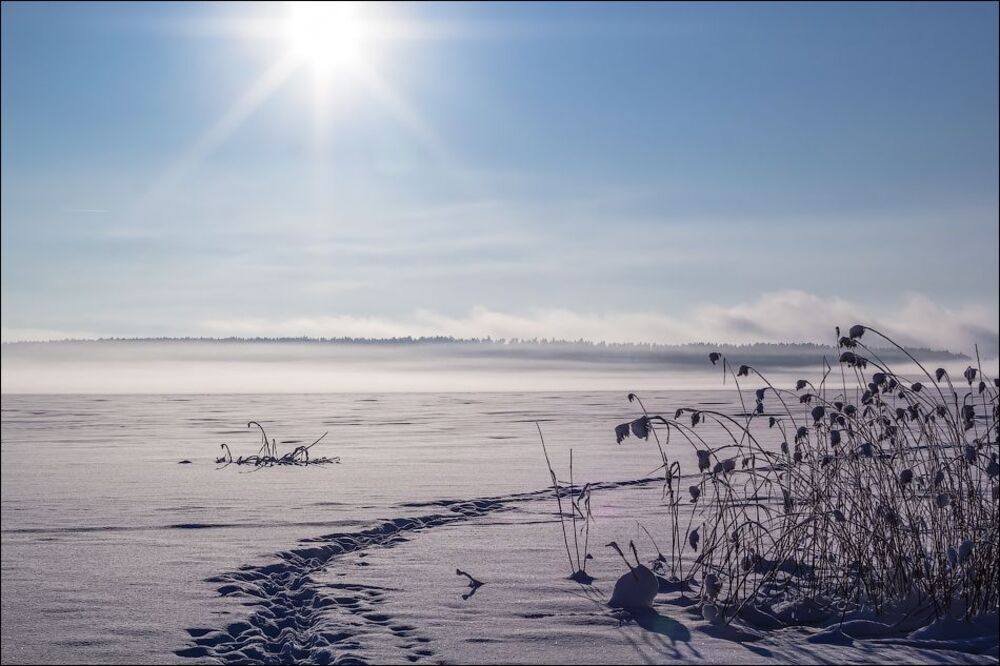 Морозный денек)