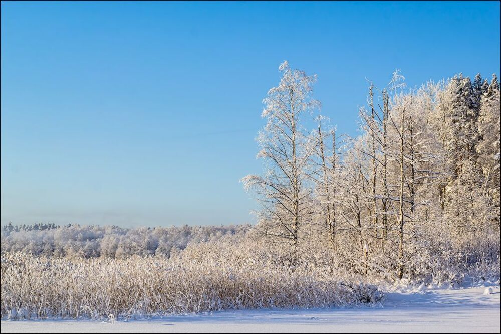 Морозный денек)