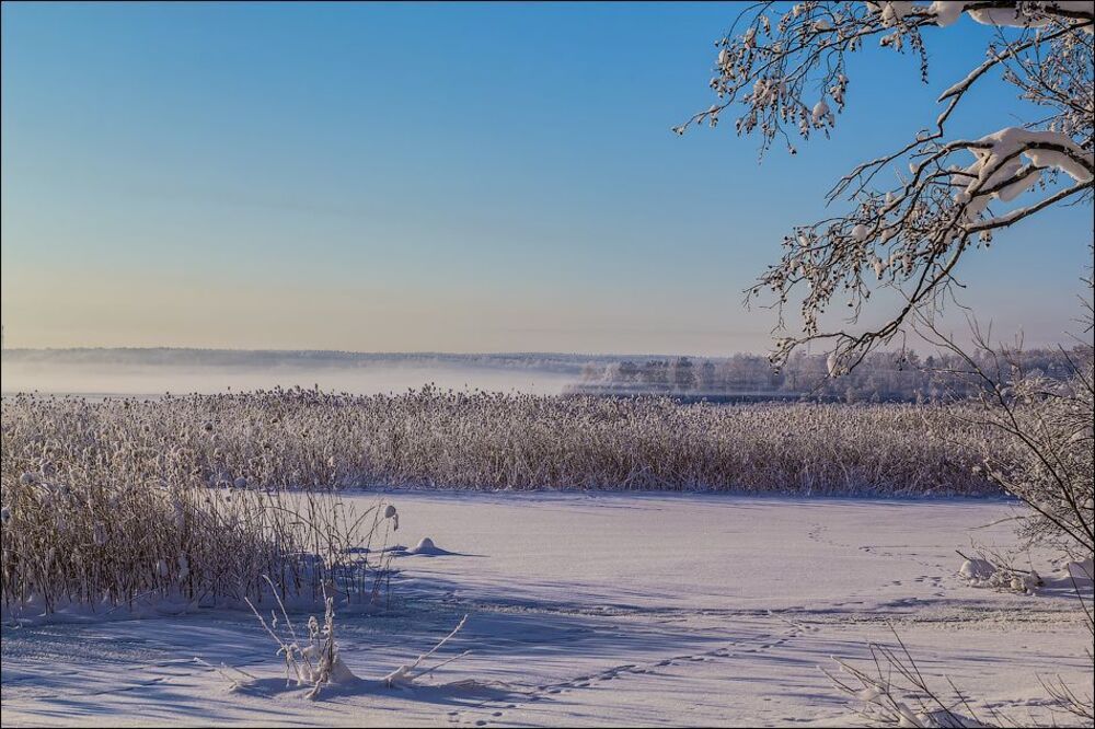 Морозный денек)
