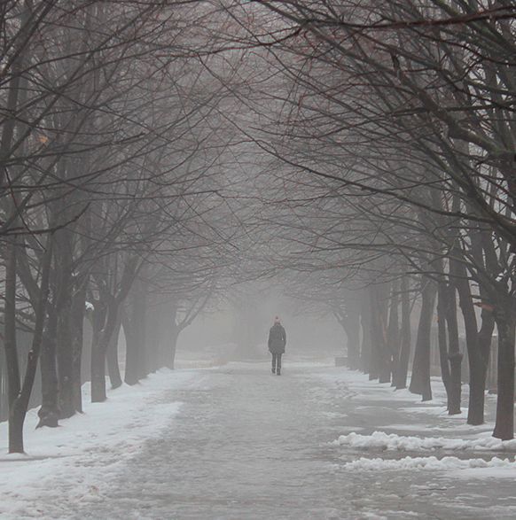 in fog