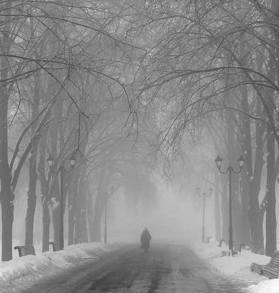 in fog