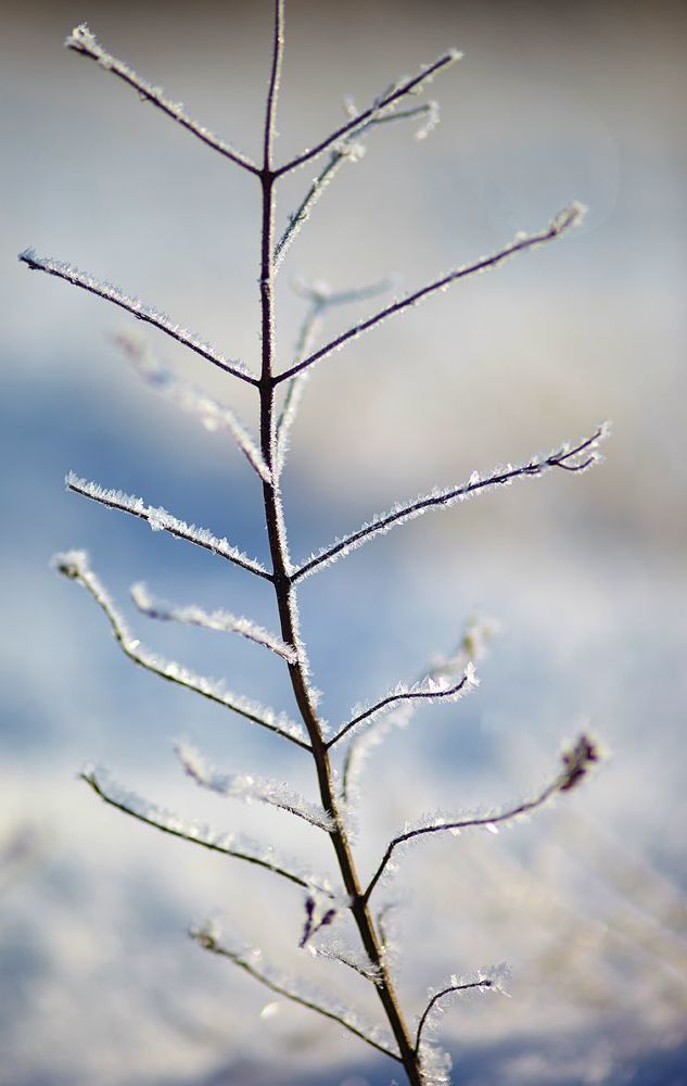 Photo 847945