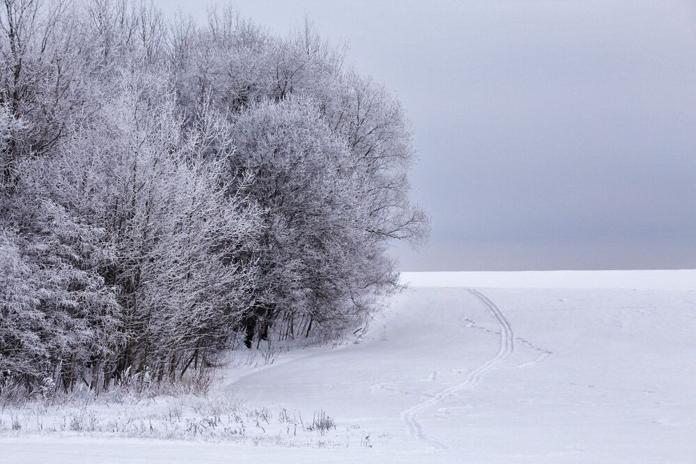 Январские зарисовки