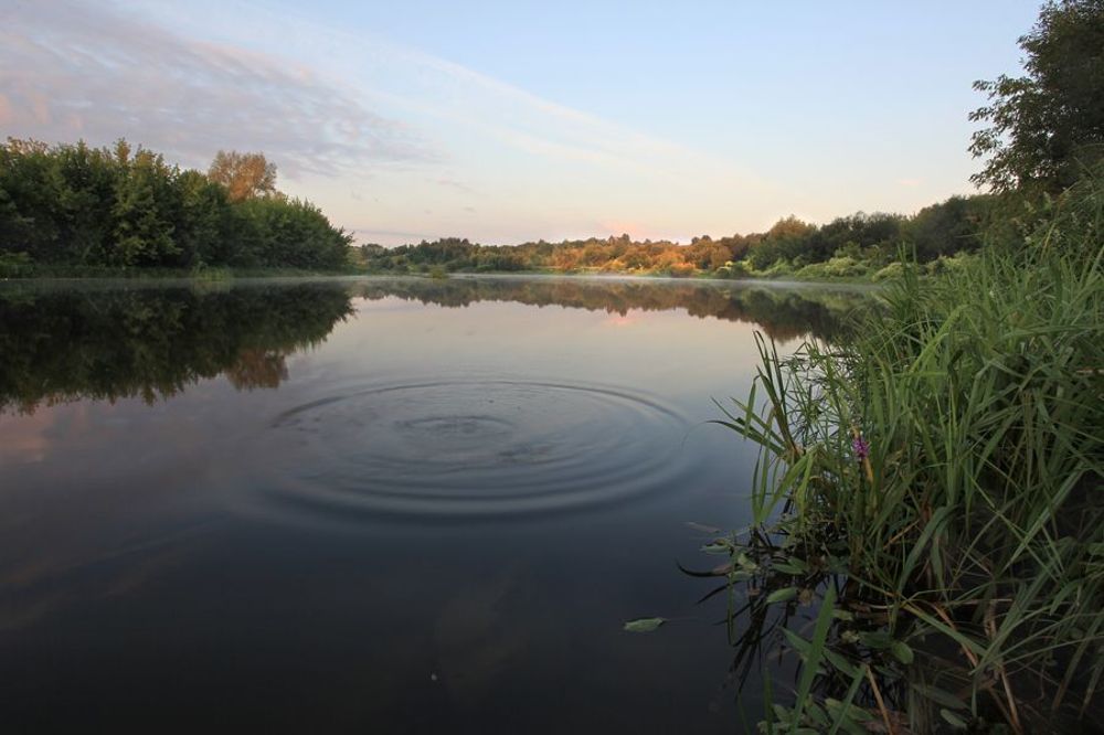 Речная прогулка
