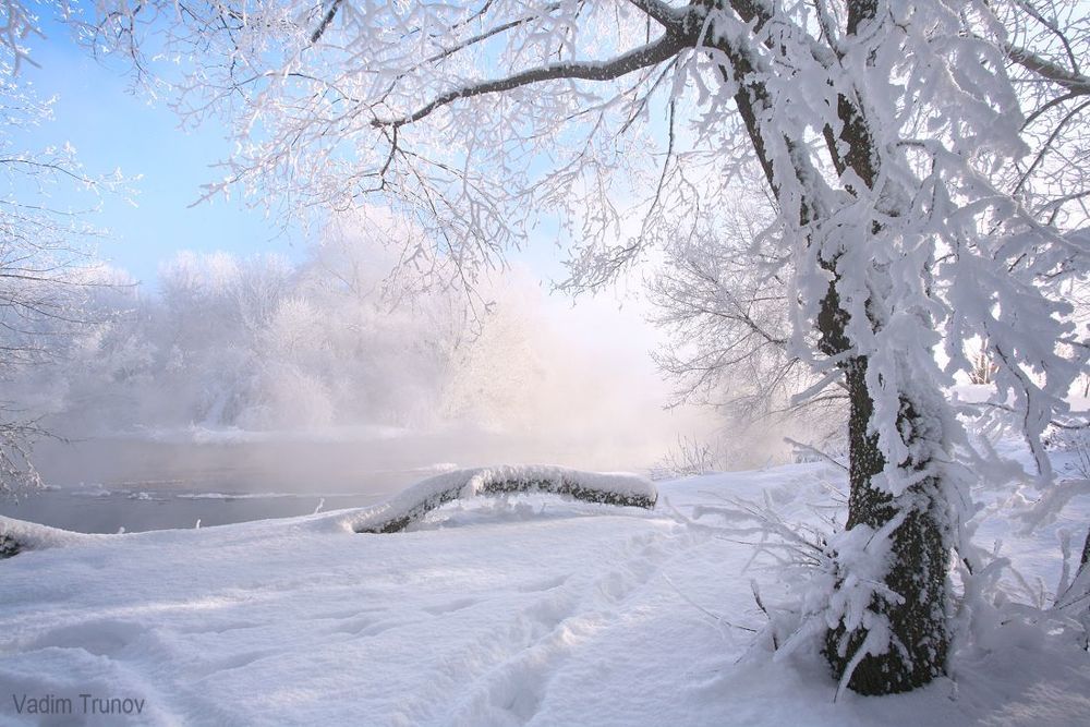 Морозным утром