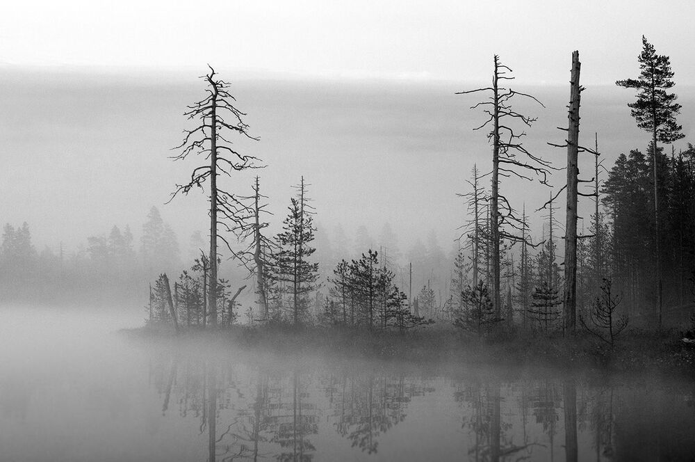 Самым первым летним утром