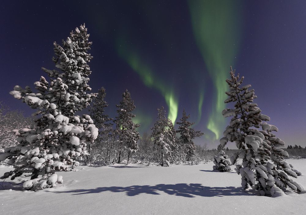  Aurora Borealis