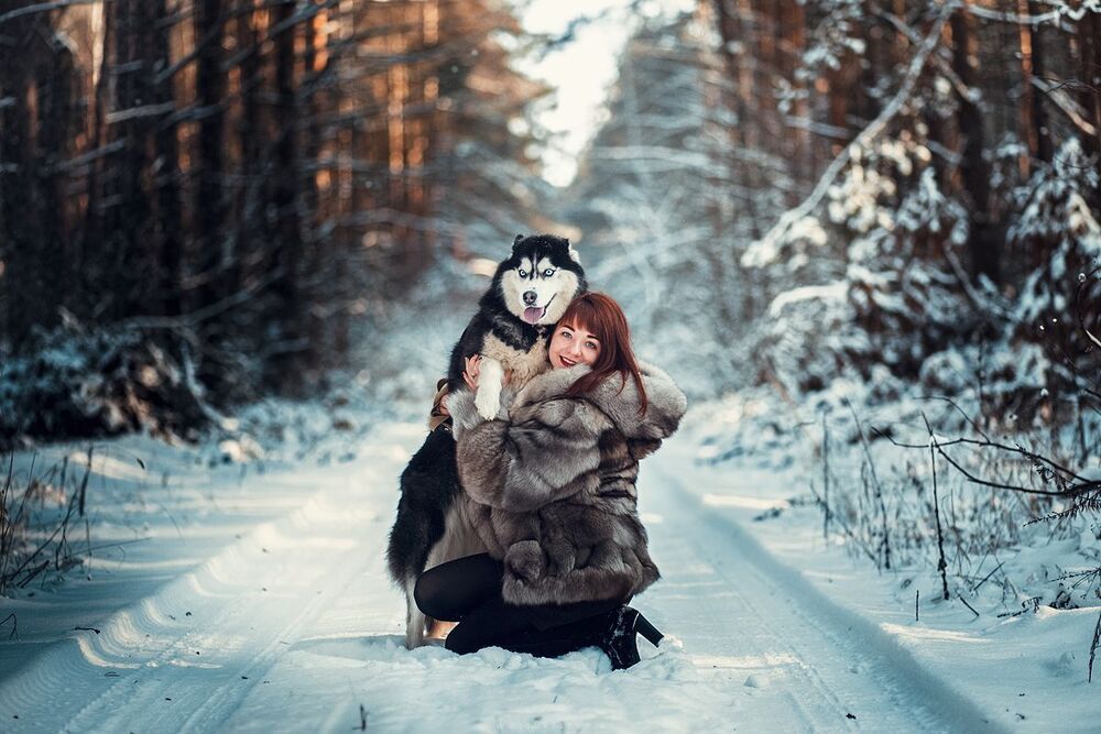Хаски
