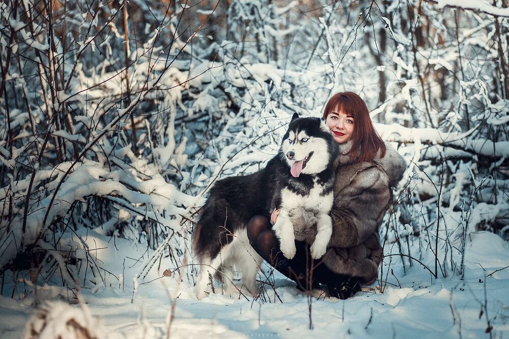 Хаски