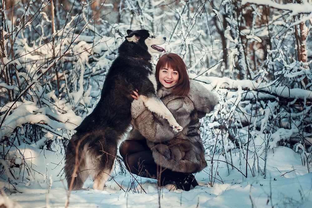 Хаски