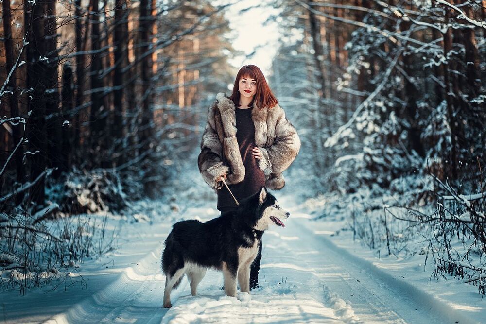 Хаски
