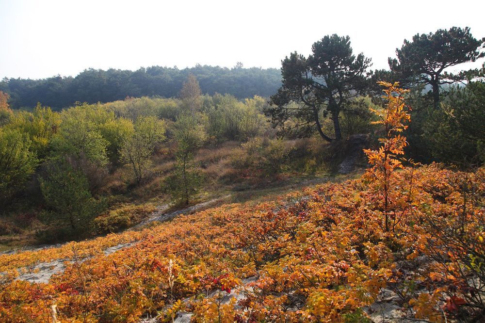 Балтийская коса осенью