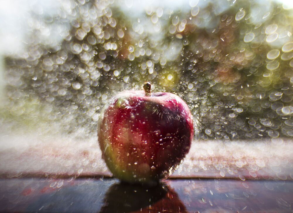 Photo 852072