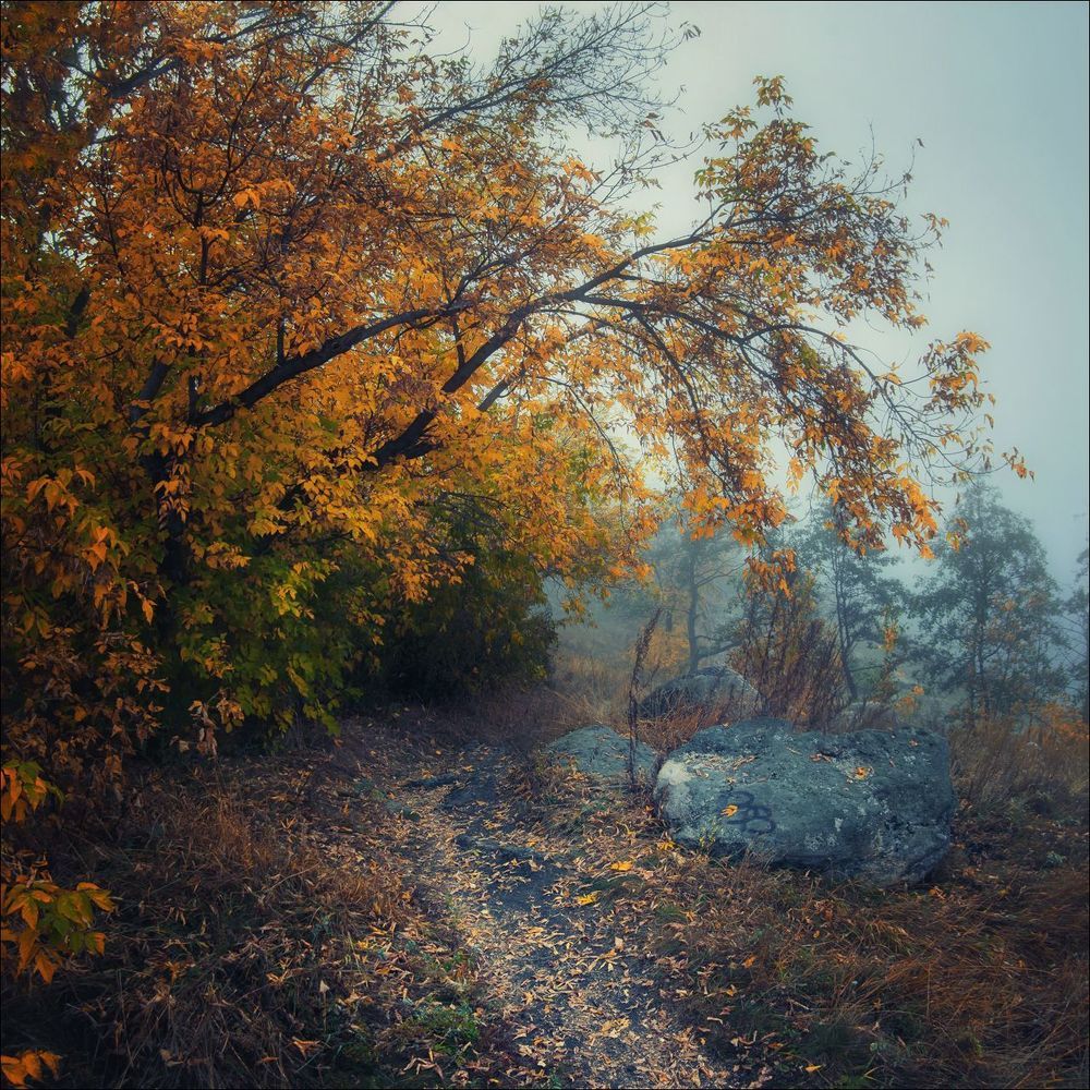 По осенним тропам