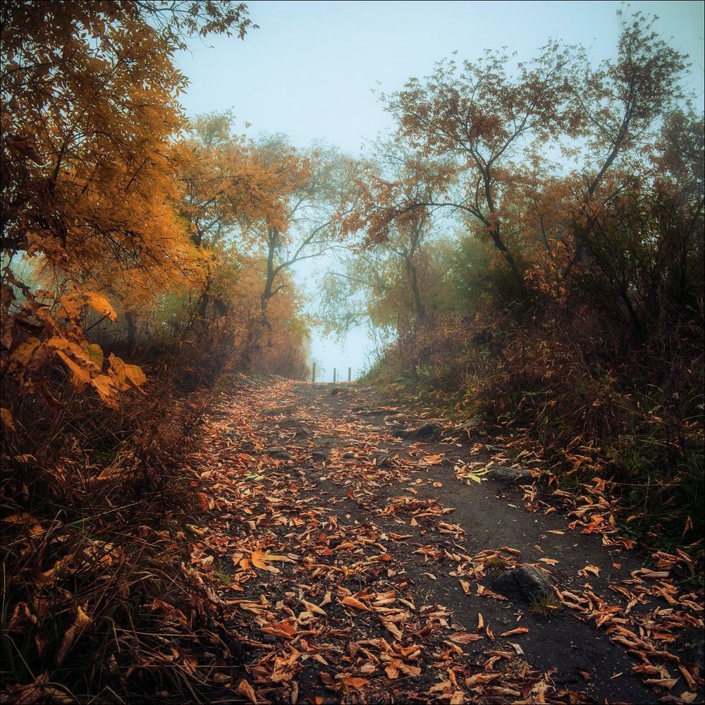 По осенним тропам