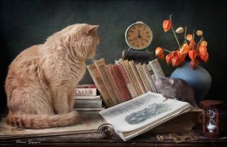 Читай дальше, Кот! так хочется, чтобы у всякой сказки был счастливый конец...