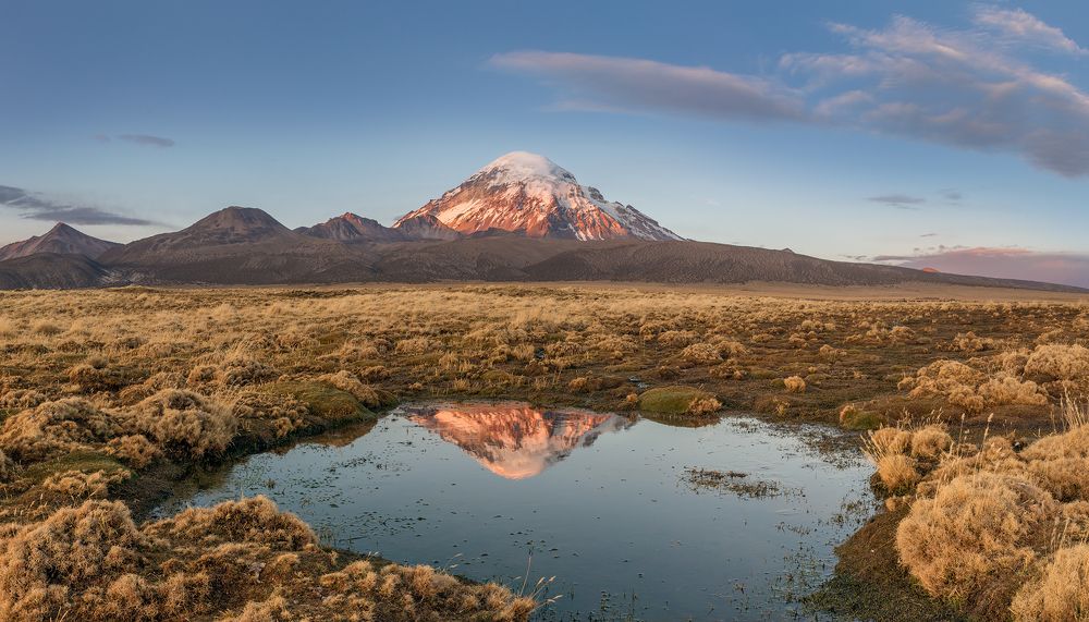 Сахама