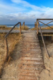 Такие вот нехитрые деревянные настилы при спуске на пляж спасают редкую и декоративную растительность дюн от вытаптывания, а дюны от разрушения...