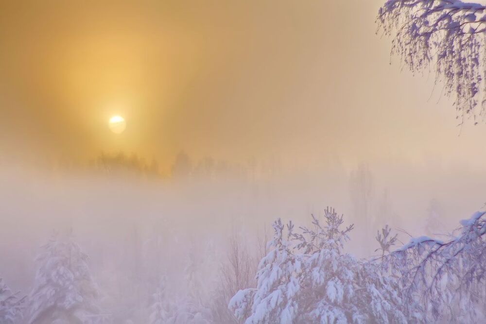 Февральским утром