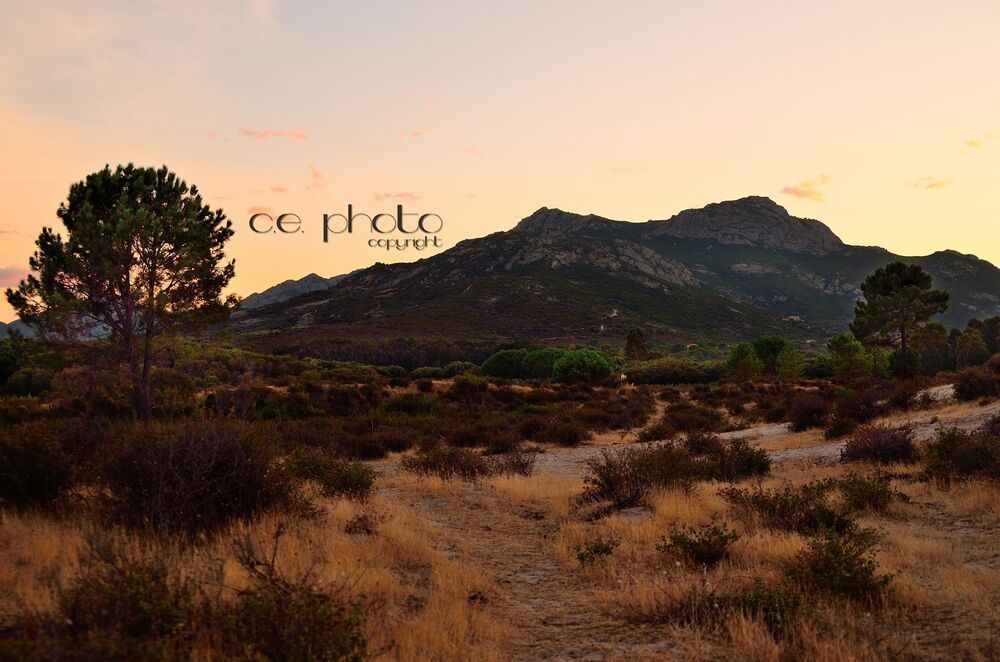 FROM CORSE