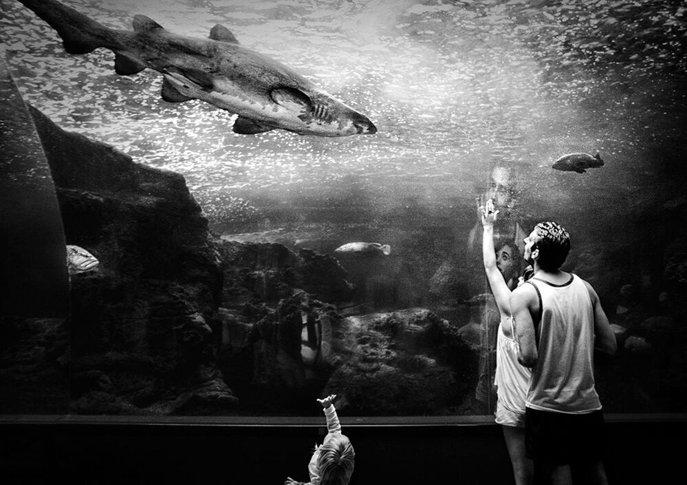 Photo 859185