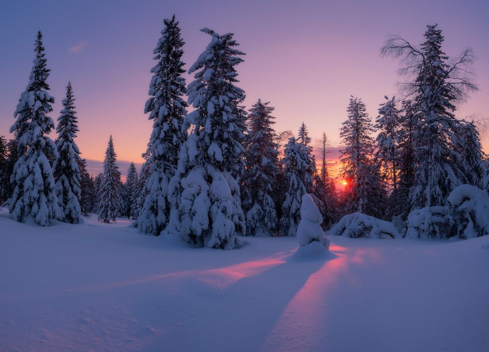 Рождение нового дня