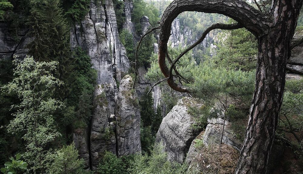 Бастай