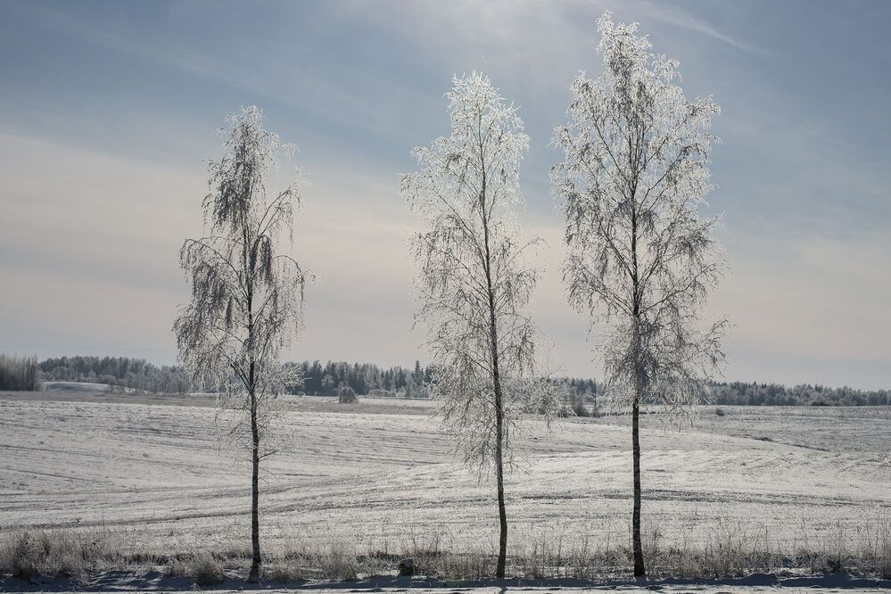 Oбочины