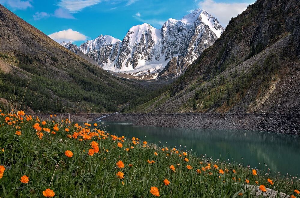 Мечта, Красавица и Сказка