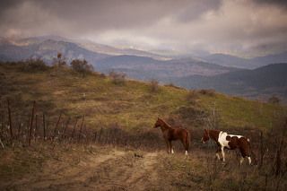 Зимний Крым