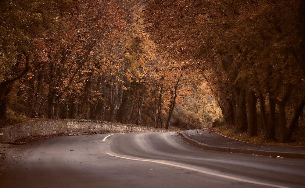 Осень в Артеке