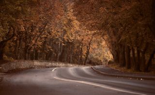 Осень в Артеке