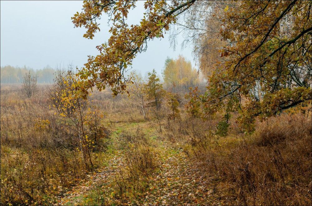 Ржавая нынче осень