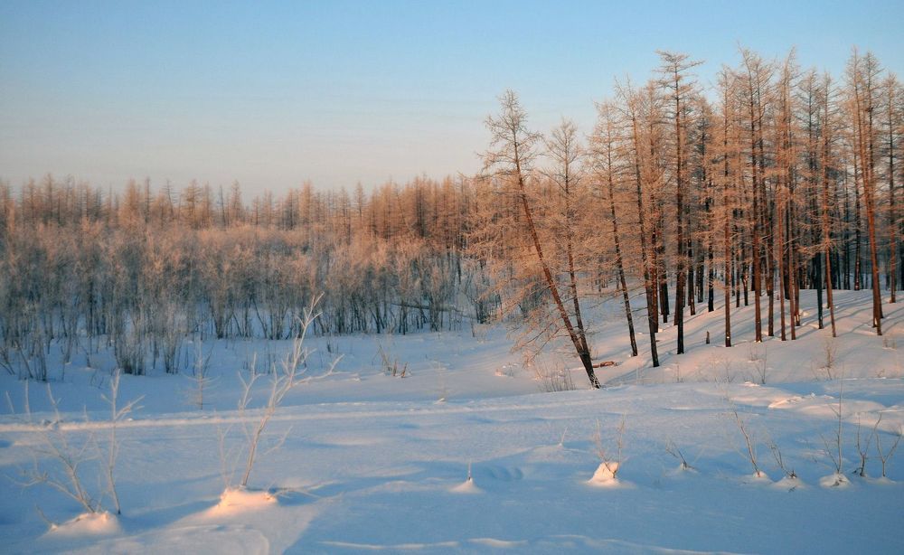 Воскресная прогулка