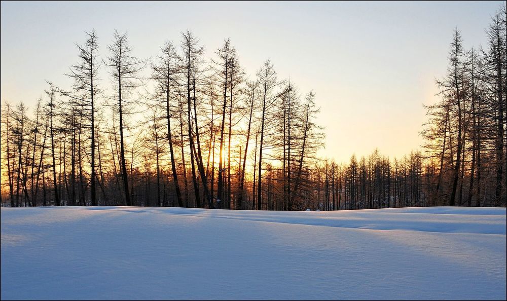 Воскресная прогулка