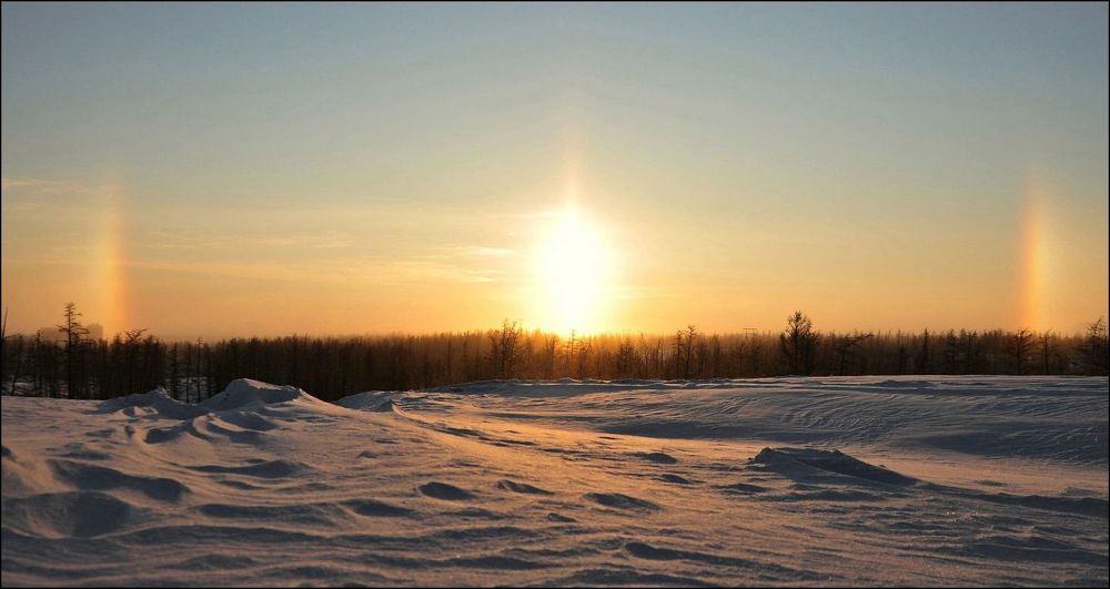 Воскресная прогулка