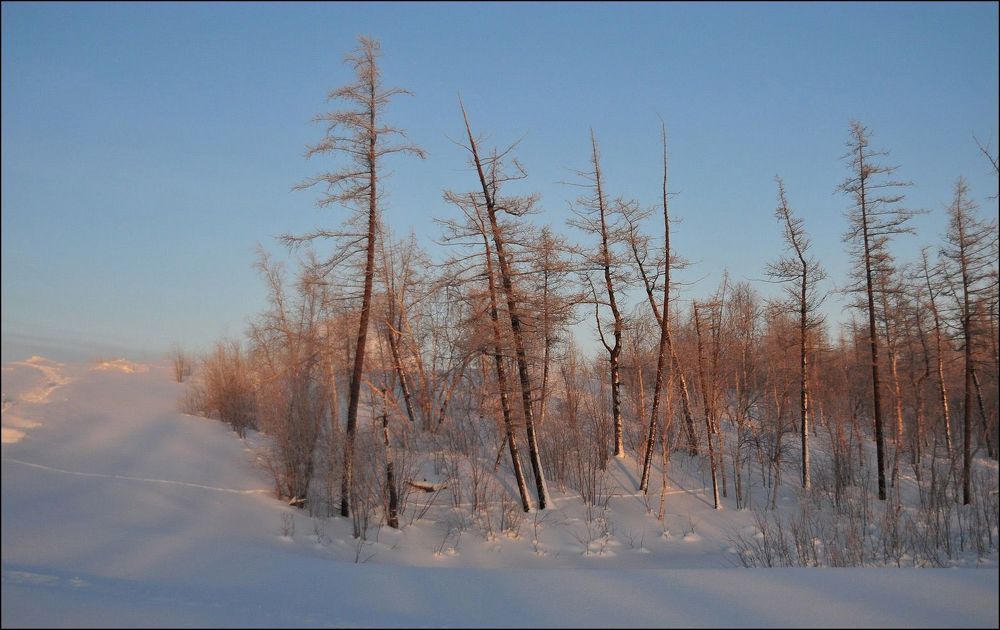 Воскресная прогулка