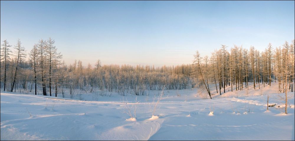 Воскресная прогулка