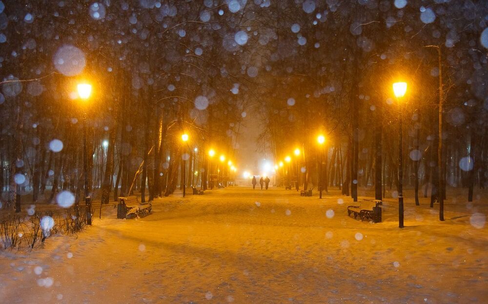 Центральный парк