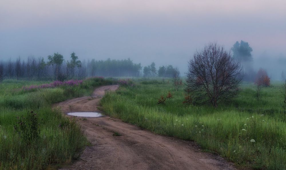 Дачные зарисовки. 2015.