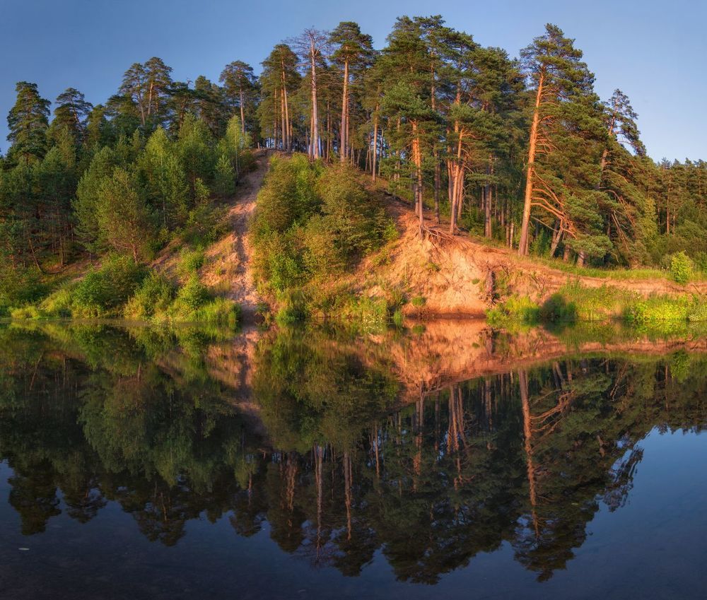 Дачные зарисовки. 2015.