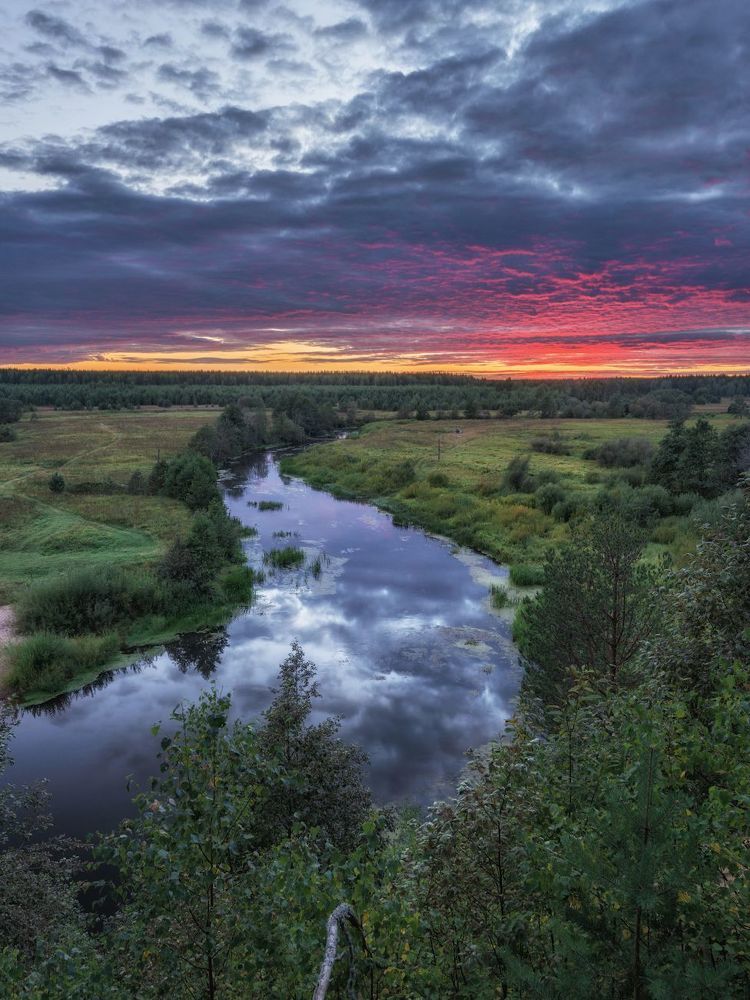 Дачные зарисовки. 2015.