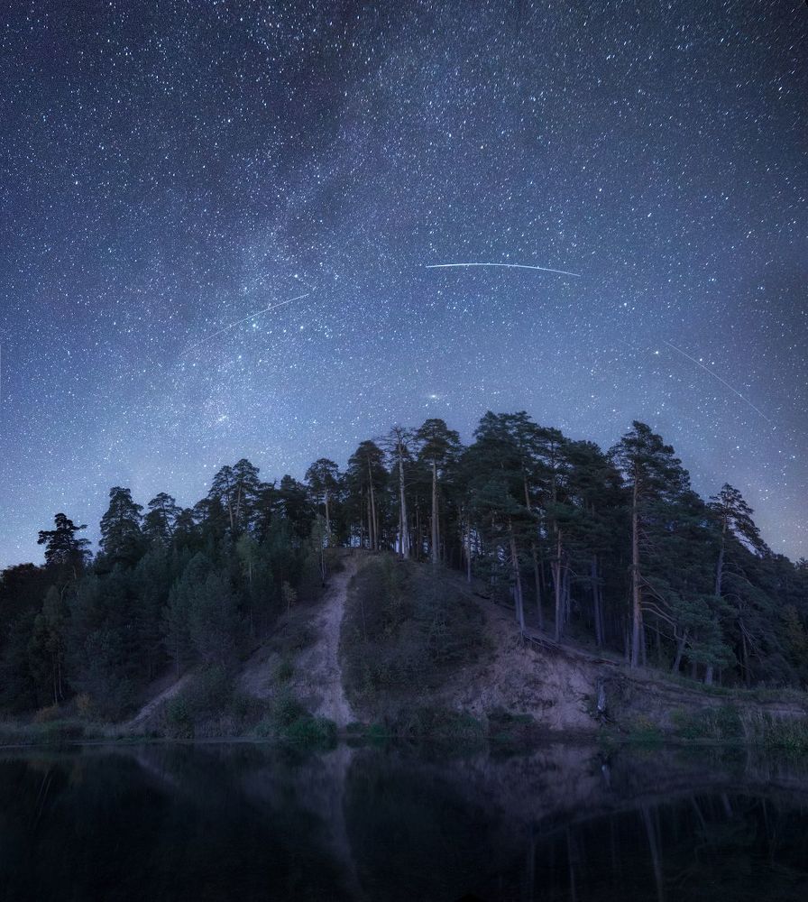 Дачные зарисовки. 2015.
