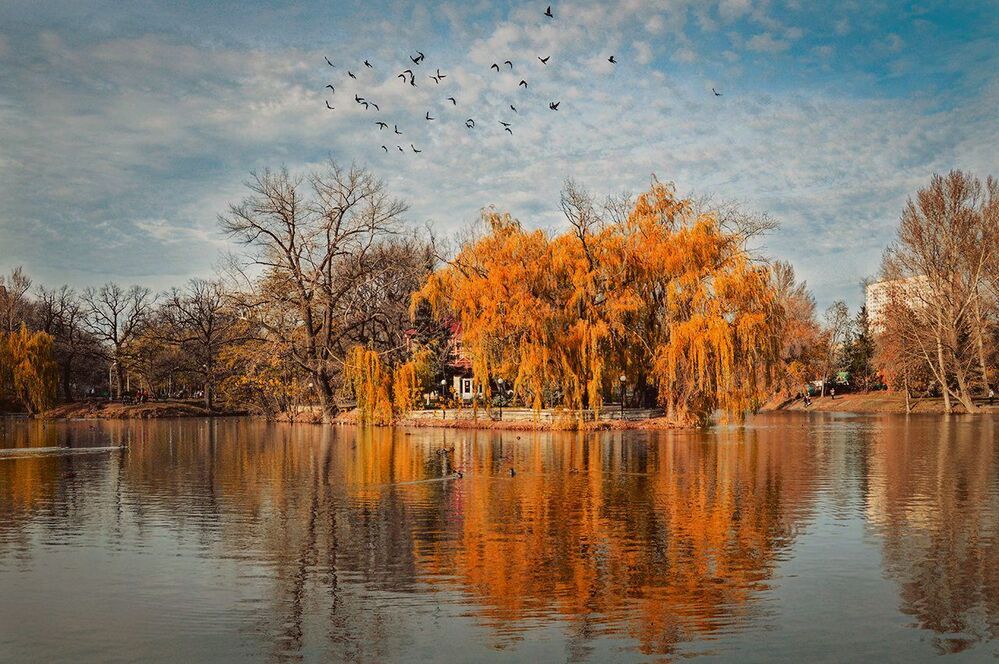 Осень
